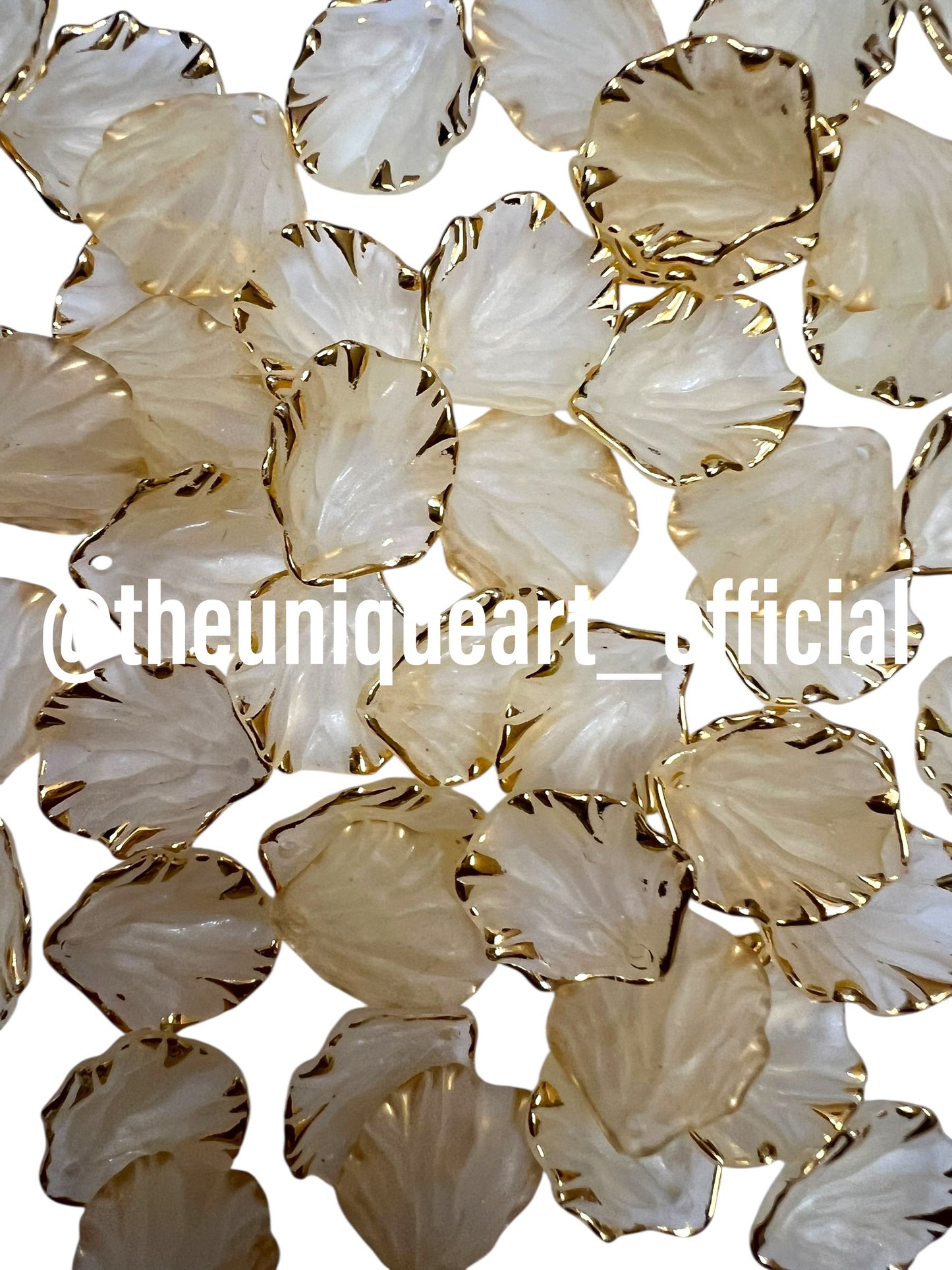 Cream Shells