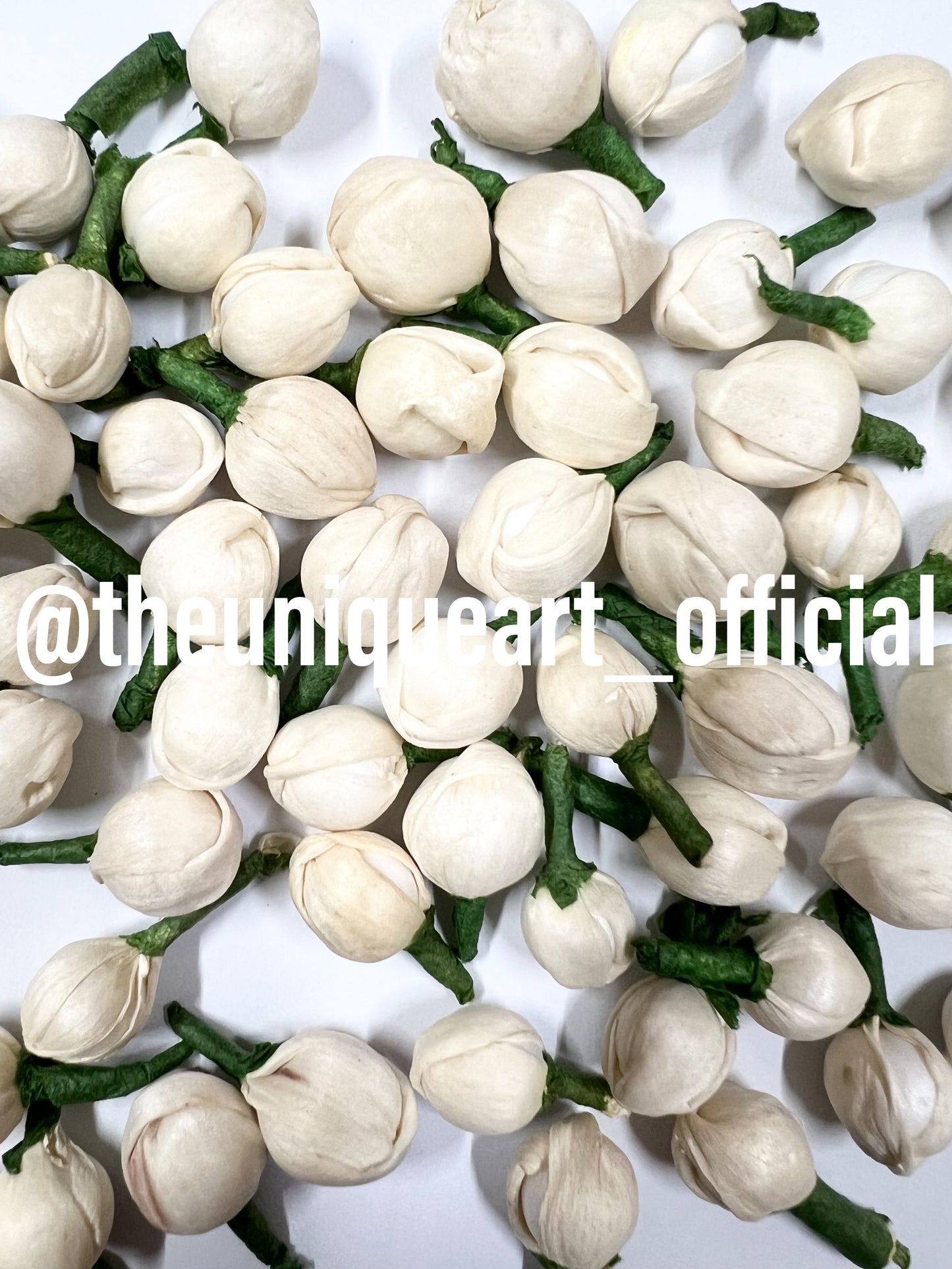 Jasmine Buds