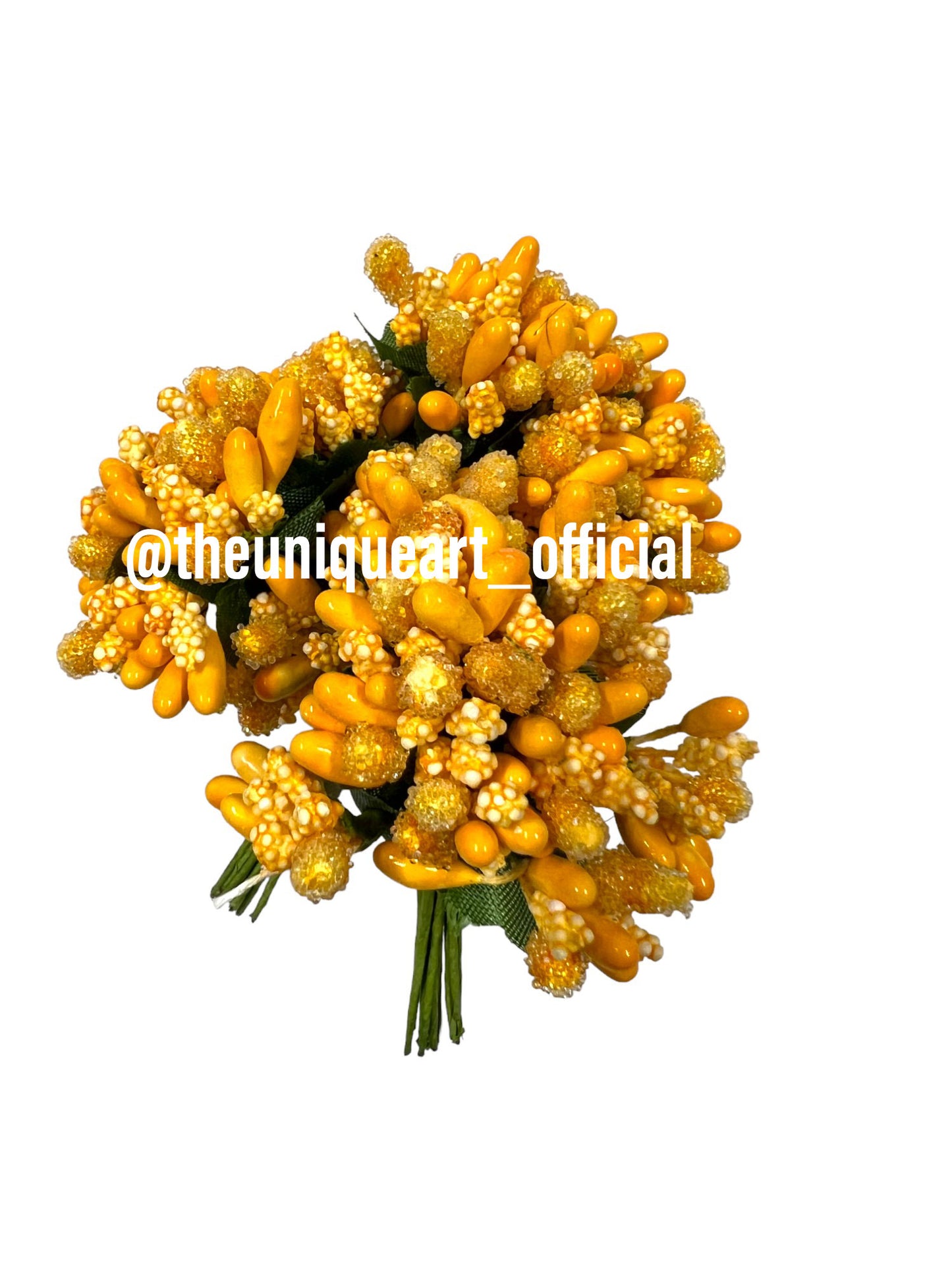 Turmeric / Haldi Pollen
