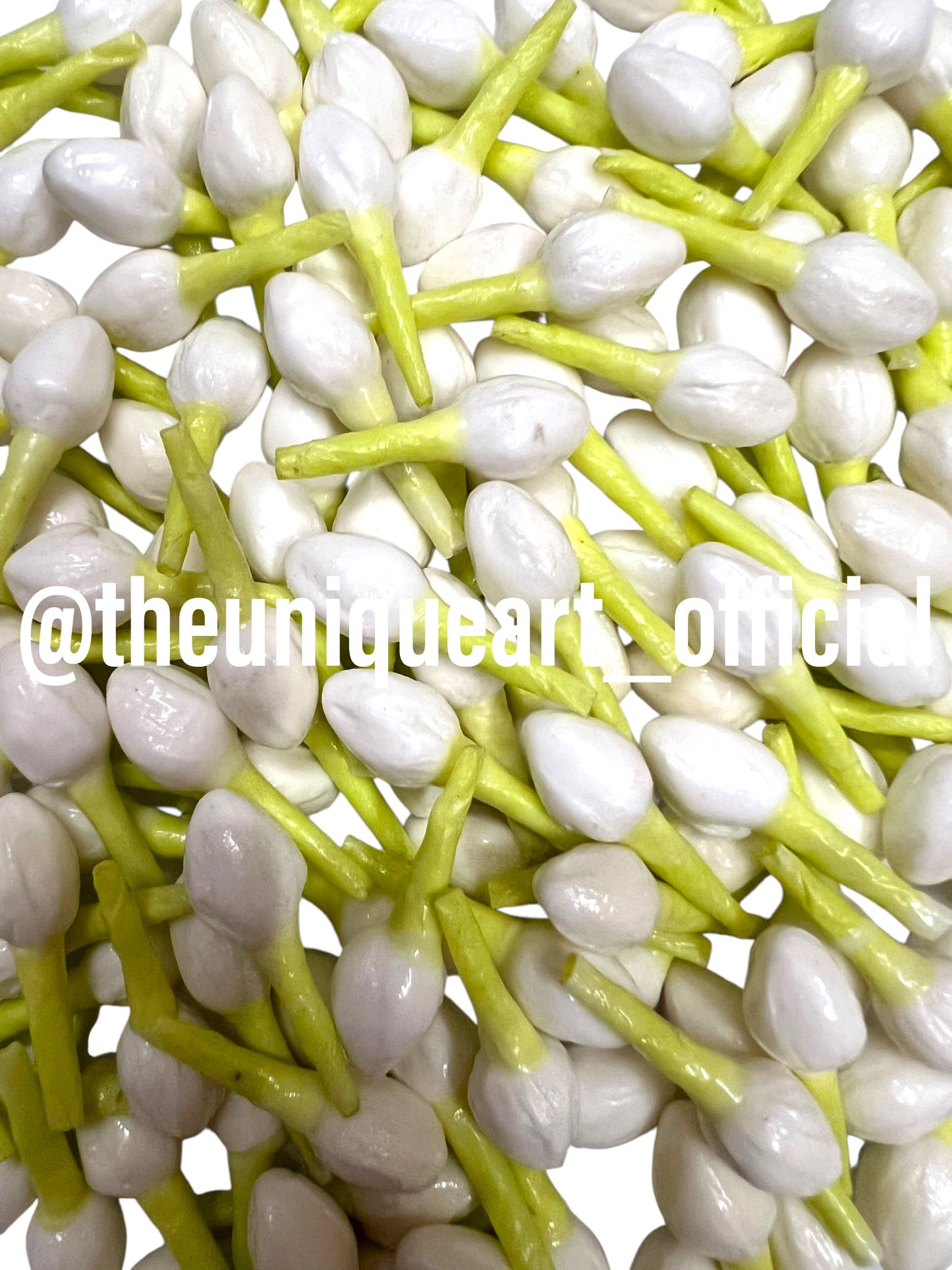 High Quality Jasmine Buds