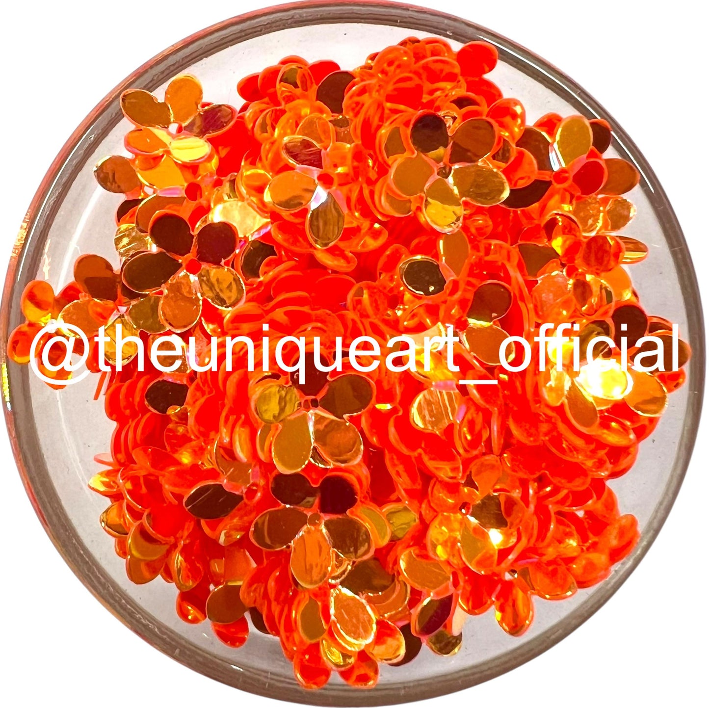 Orange Rainbow Flower Sequence