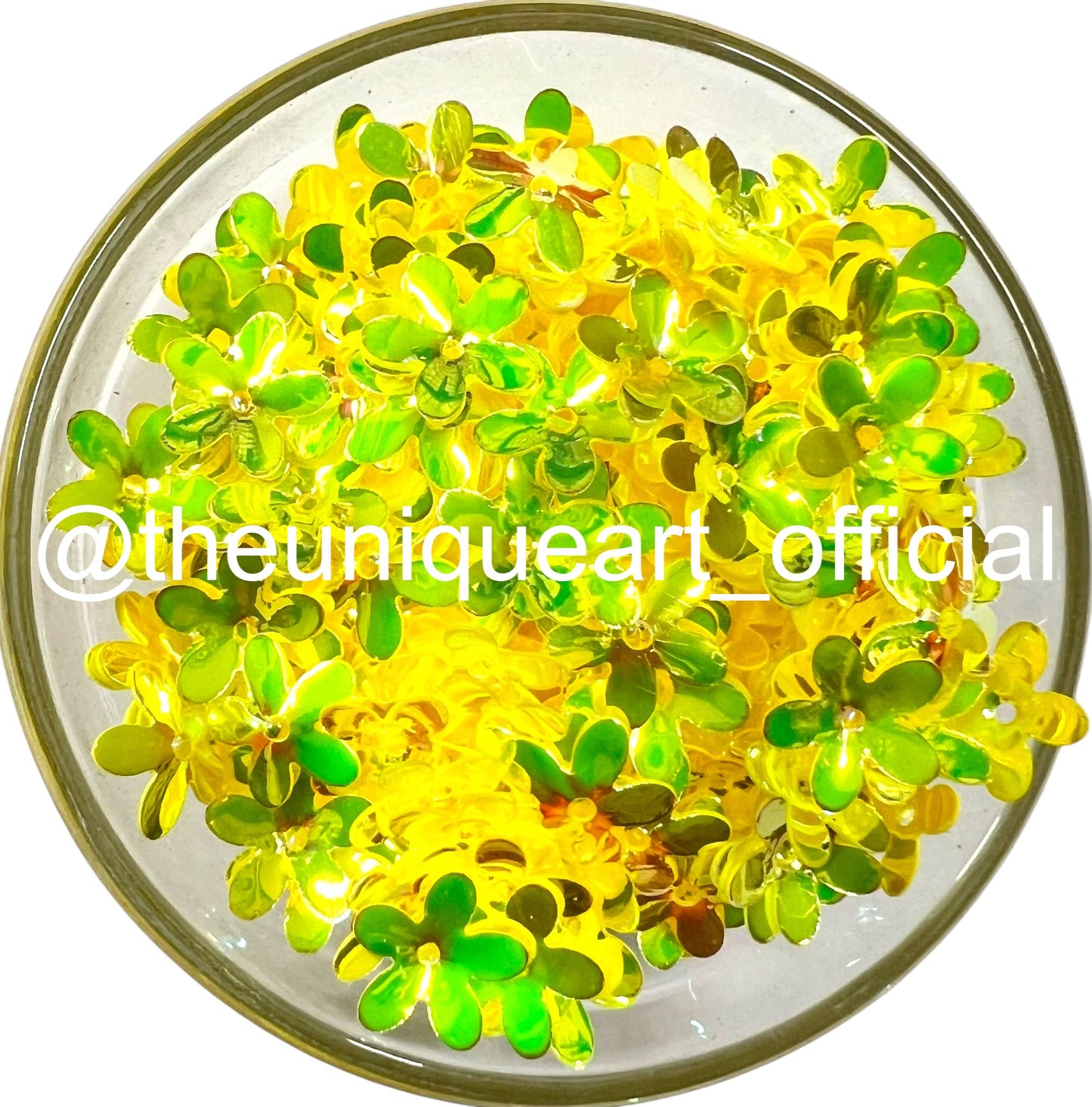 Yellow Rainbow Flower Sequence
