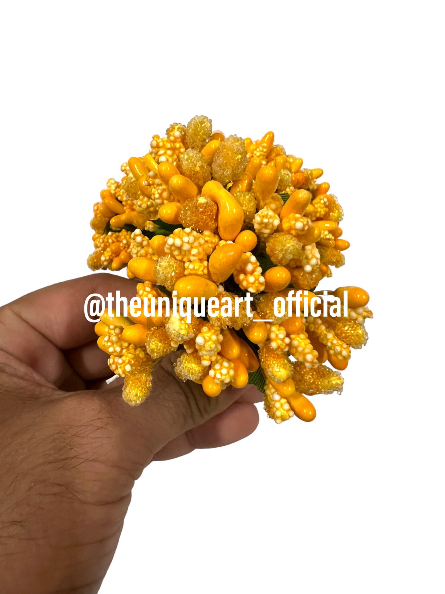 Turmeric / Haldi Pollen