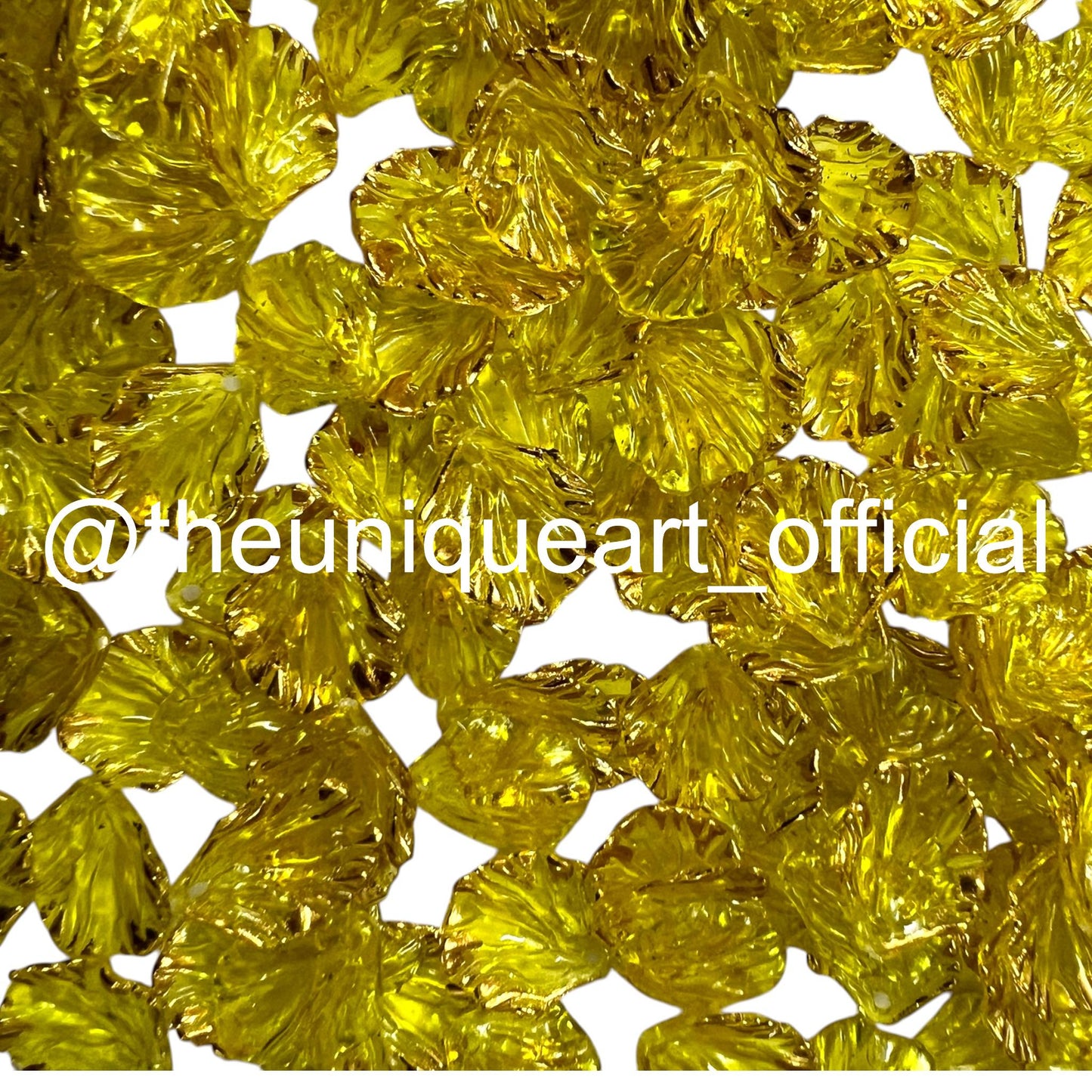 Yellow Shells
