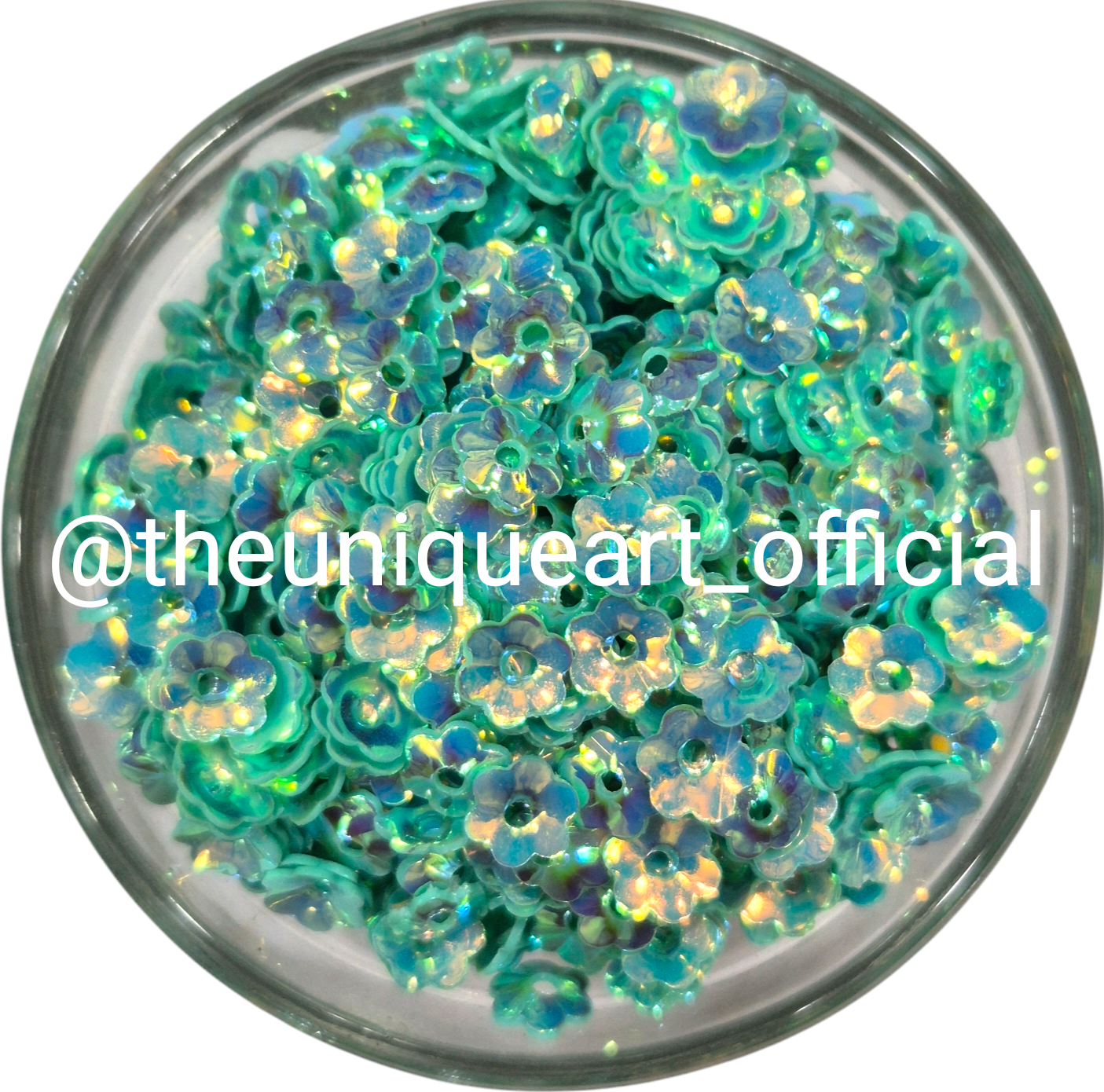Fancy Sequins – The Unique Art