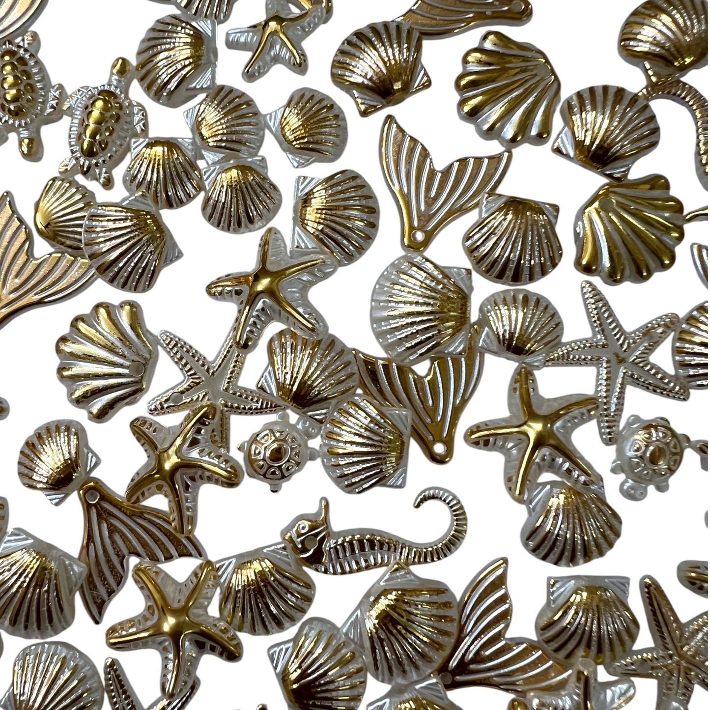 Mix Oceanic Shells