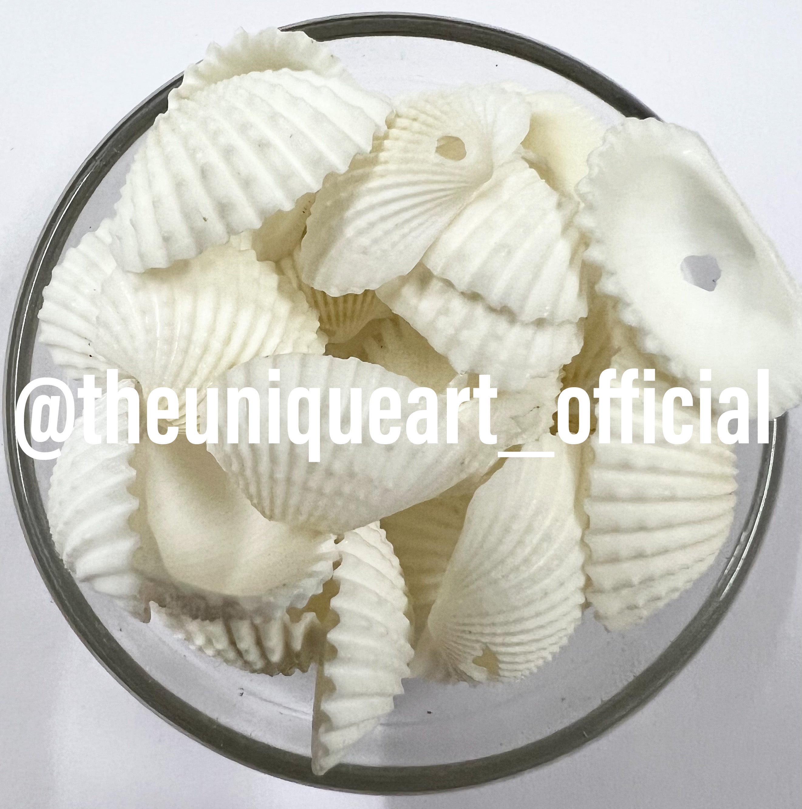 Shells 2cm – The Unique Art