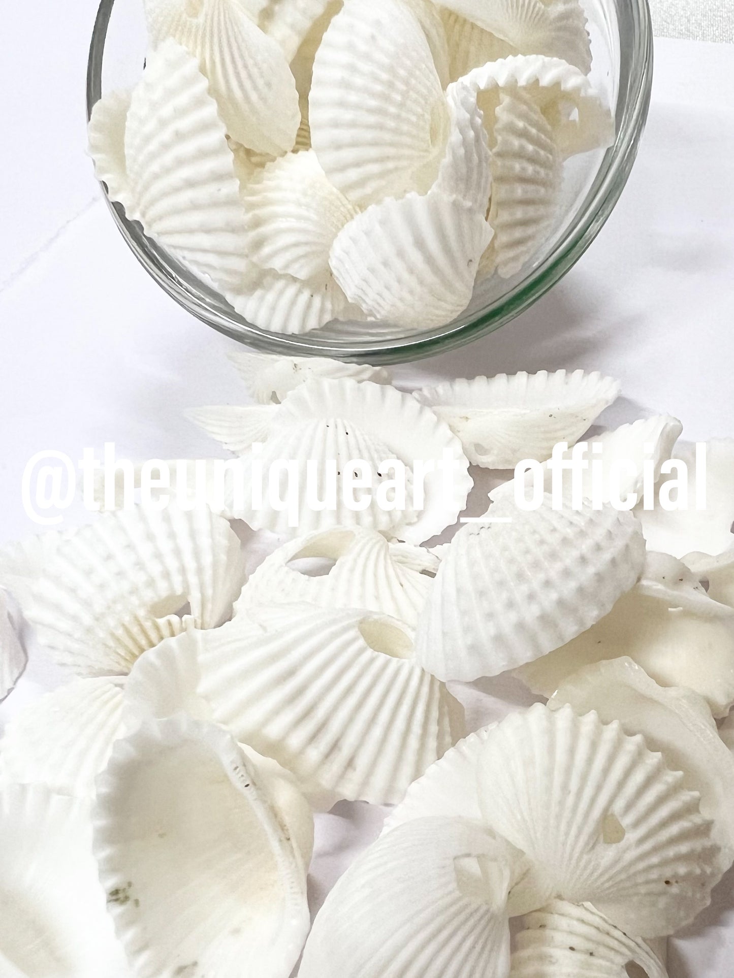 Shells 2cm