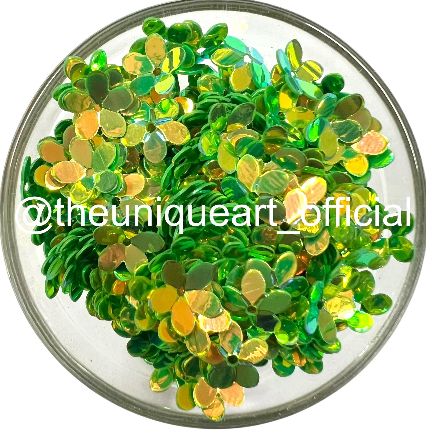 Light Green Rainbow Flower Sequence