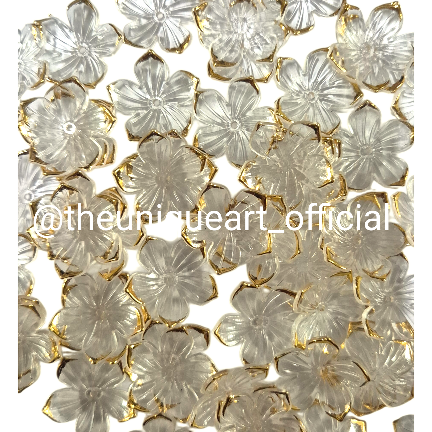 D1 Transparent Flower